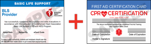 Sample American Heart Association AHA BLS CPR Card Certification and First Aid Certification Card from CPR Certification Baltimore