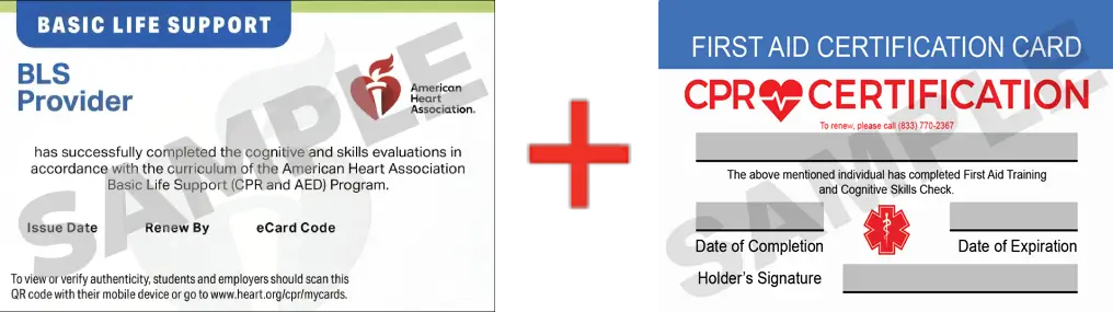 Sample American Heart Association AHA BLS CPR Card Certification and First Aid Certification Card from CPR Certification Baltimore